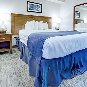 One-Bedroom Standard